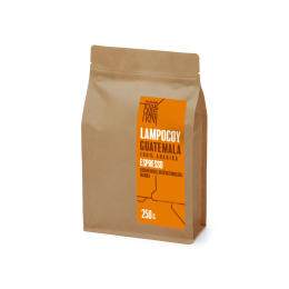 Lampocoy